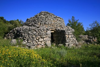 Trim, Starigradsko polje, Hvar