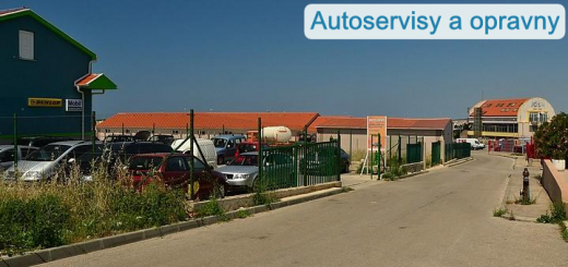 Autoservisy